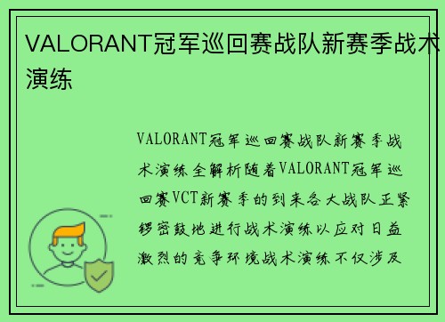 VALORANT冠军巡回赛战队新赛季战术演练