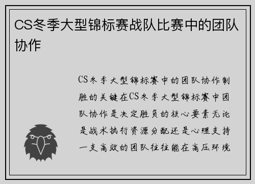 CS冬季大型锦标赛战队比赛中的团队协作