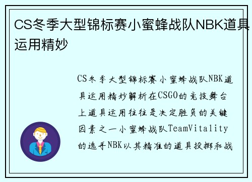 CS冬季大型锦标赛小蜜蜂战队NBK道具运用精妙